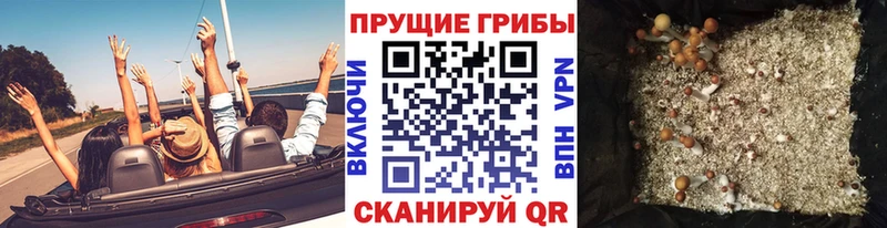 Псилоцибиновые грибы мицелий  Дедовск 