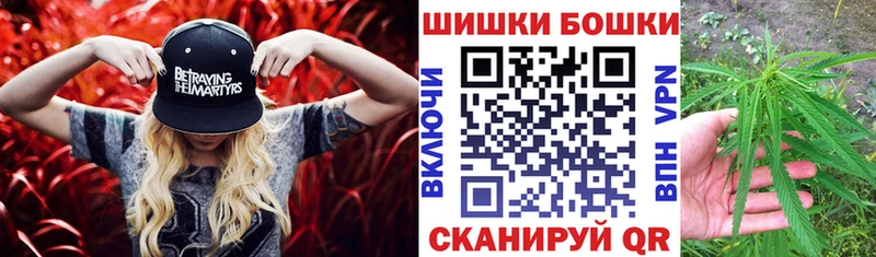 kraken   Дедовск  Канабис Amnesia 